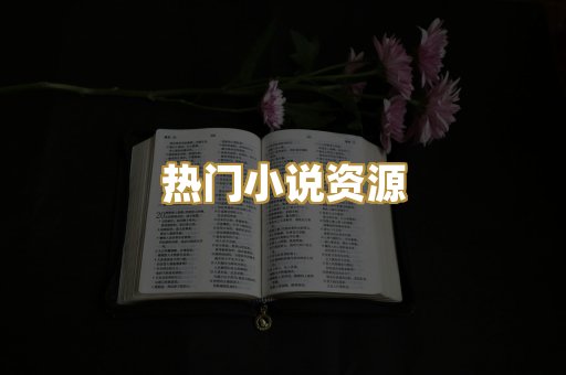热门小说资源